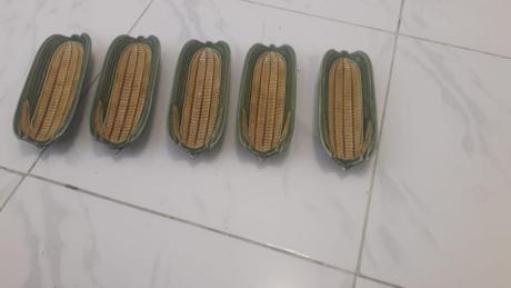 Corn / Barbeque Meat holder