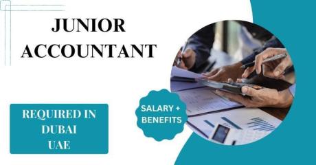 Urgent Junior Accountant Required in Dubai