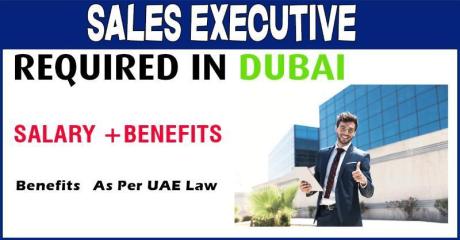 Sales Executive - Offline Stations Required in Dubai