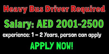 Heavy Bus Driver Required