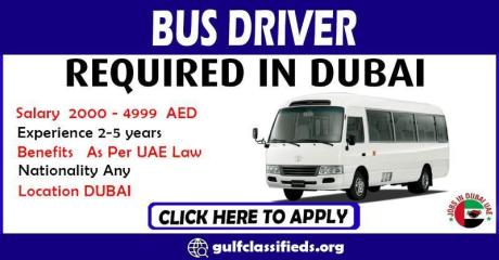 BUS DRIVER REQUIRED IN DUBAI