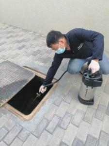 Pest Control Services