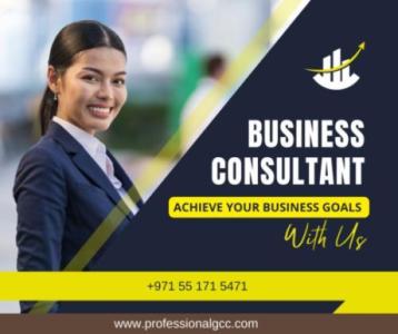 PRO SERVICES (New Business Setup and Visa Services)