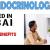 Endocrinologist Required in Dubai