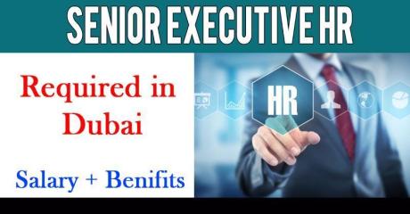 Senior Executive Human Resources Required in Dubai
