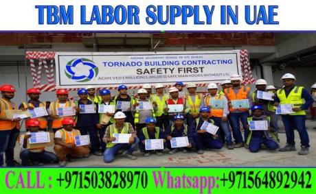 Daily Basic labor supply in Ajman Dubai Sharjah Abudhabi