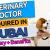 Veterinary Doctor Required in Dubai