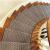 Stair Carpets Dubai | Buy No.1 Stair Carpets in UAE - Rugdubai.com