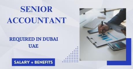 Senior Accountant Required in Dubai