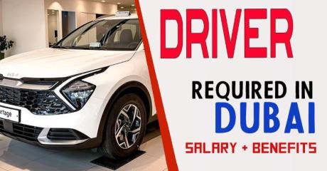 DRIVER Required in Dubai