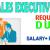 Sales Executive Required in Dubai