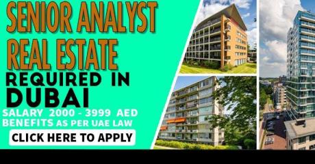 Senior Analyst - Real Estate Required in Dubai