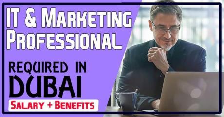 IT & Marketing Professional Required in Dubai