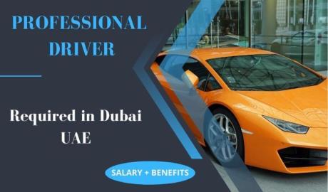 Professional Driver Required in Dubai
