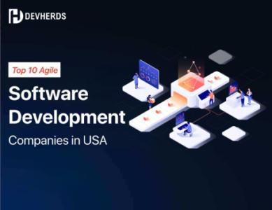 Reliable Website Development Company in Dubai | DevHerds