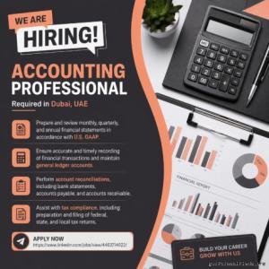 Accounting Professional Required in Dubai