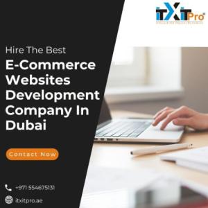Hire The Best E-Commerce Websites Development Company In Dubai