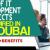 Head of IT Development & Projects Required in Dubai