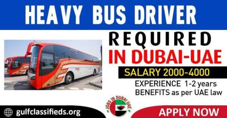 HEAVY BUS DRIVER REQUIRED IN DUBAI