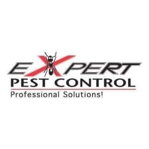 EXPERT PEST CONTROL⭐FUMIGATION & CLEANING SERVICES CONTACT:(058▪2862042)