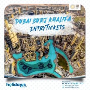 HOLIDAYS TOURS LLC ( holidayys.com)