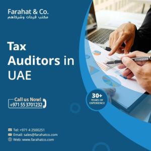 Tax Audits in UAE - Call us +971 55 4828368