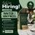 Waiter/waitress Required in Dubai