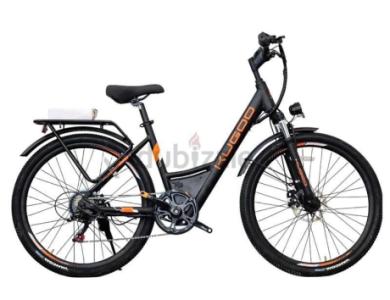Kugoo M111 Electric Bike