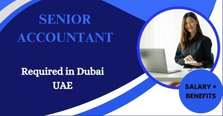 Senior Accountant Required in Dubai